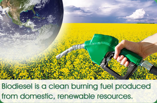 Biodiesel  Alternatif BBM